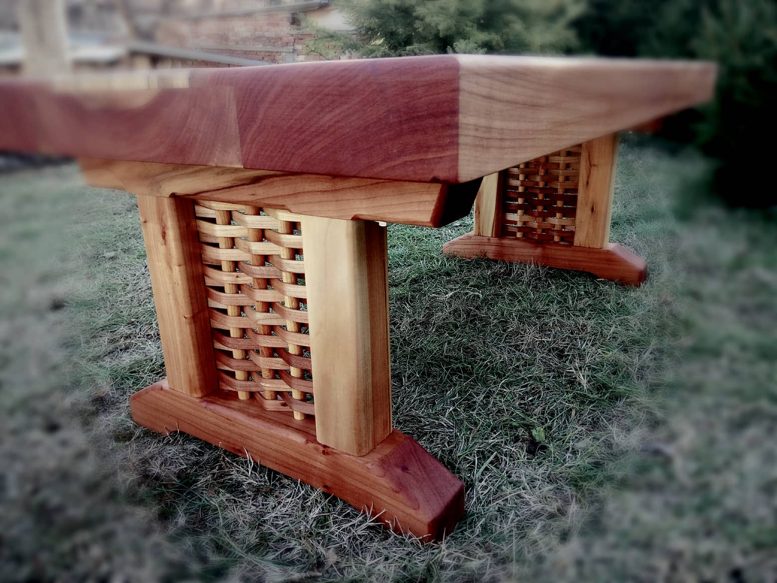 83904319_792716711242069_919860580372709376_n