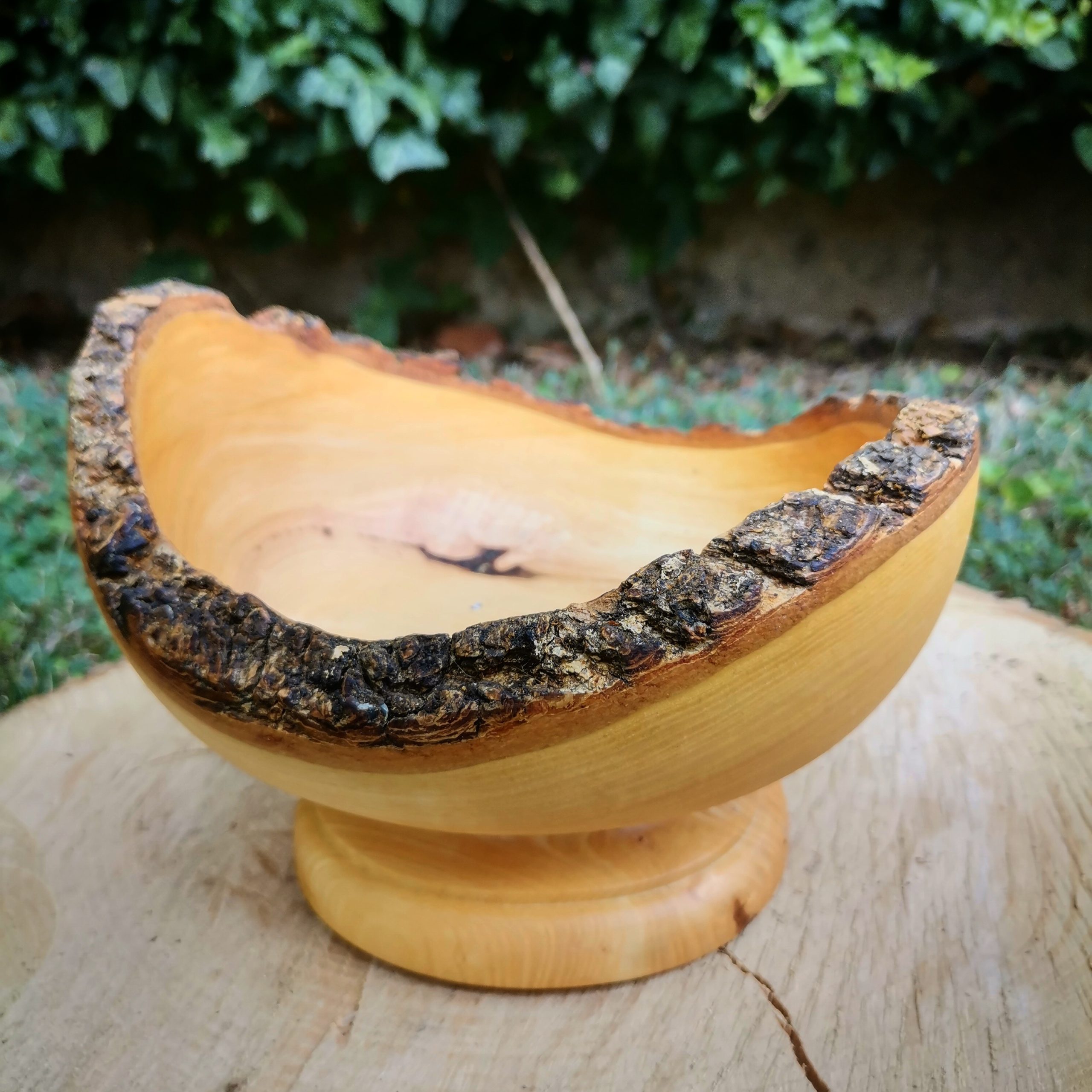 IMG_20230818_162658_319