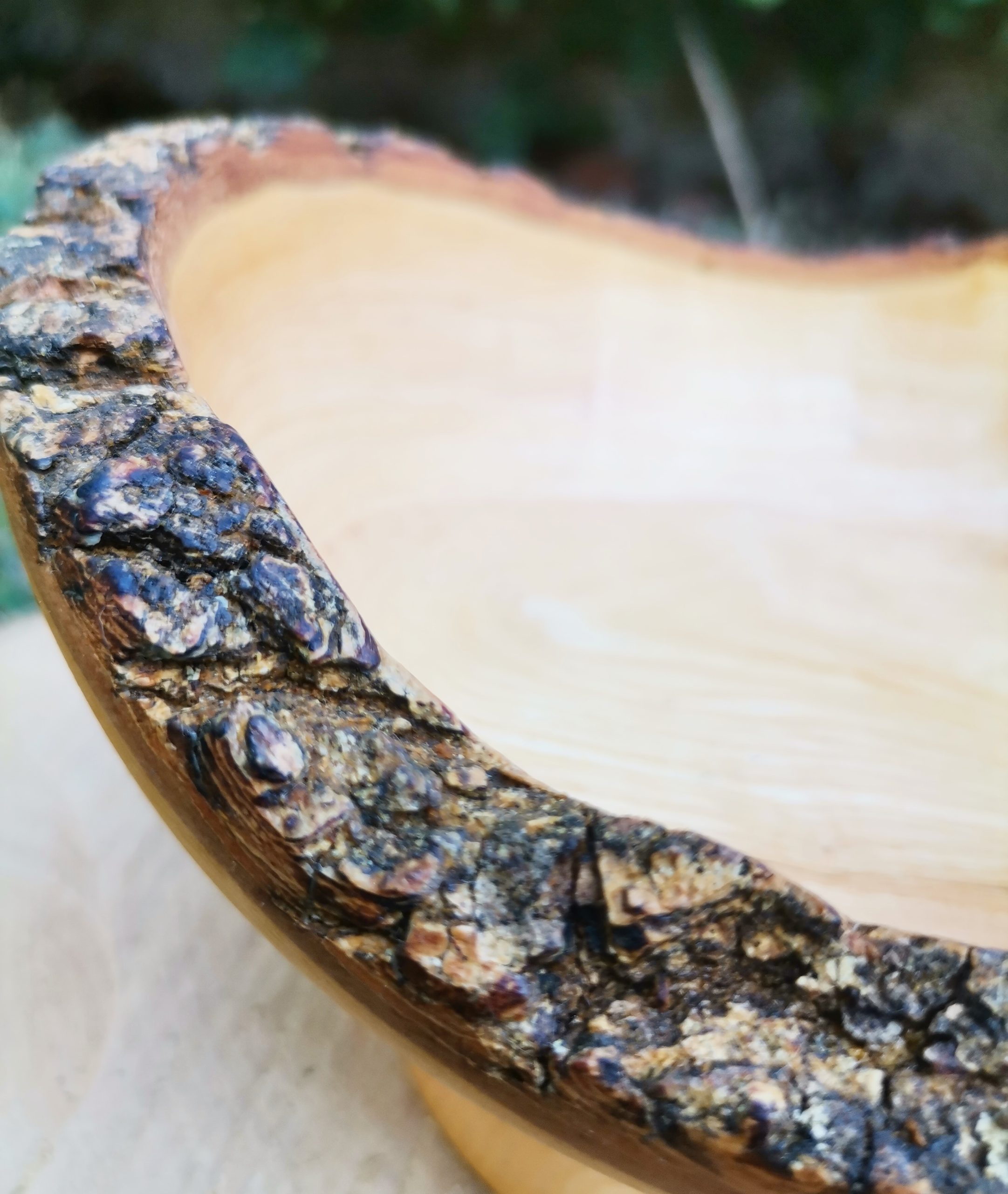 IMG_20230818_163039_833