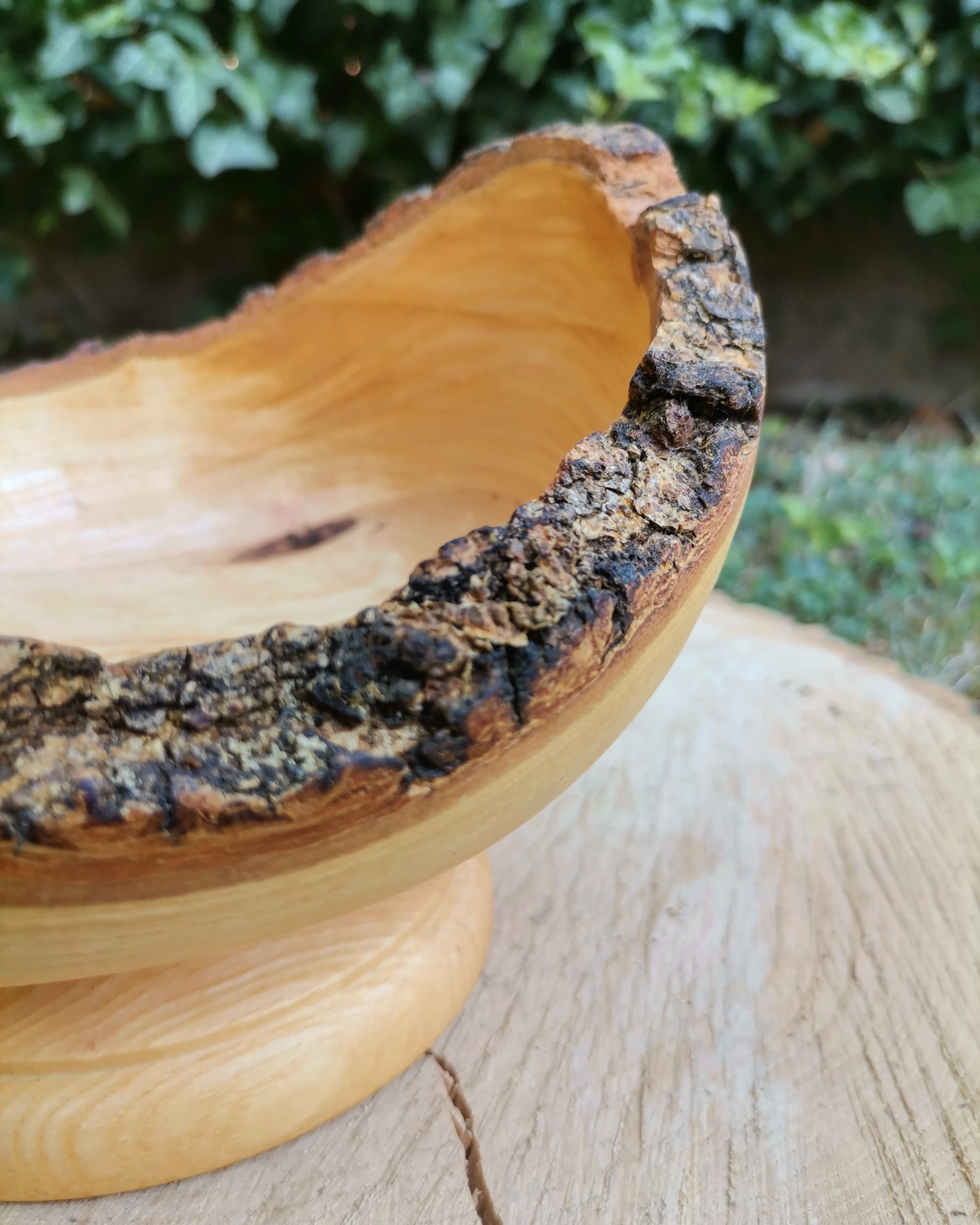 IMG_20230818_163145_580