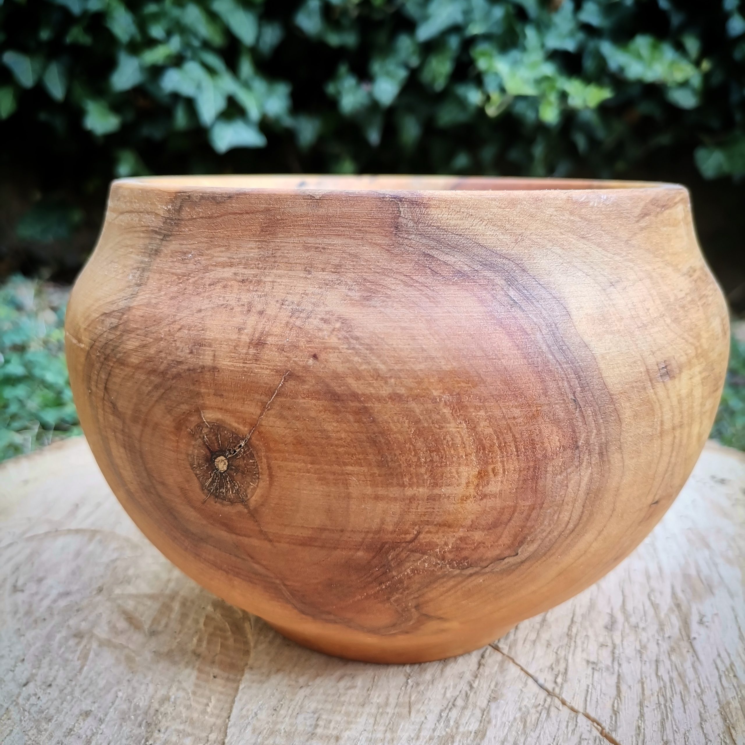 IMG_20230818_163347_961