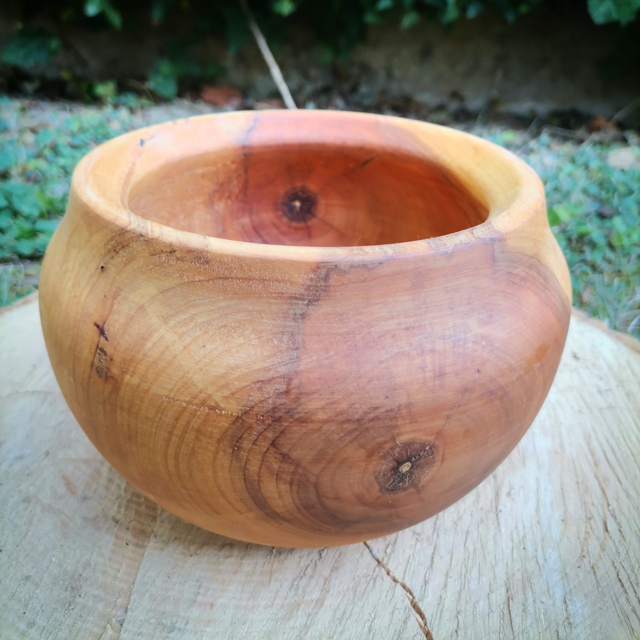 IMG_20230818_163458_870