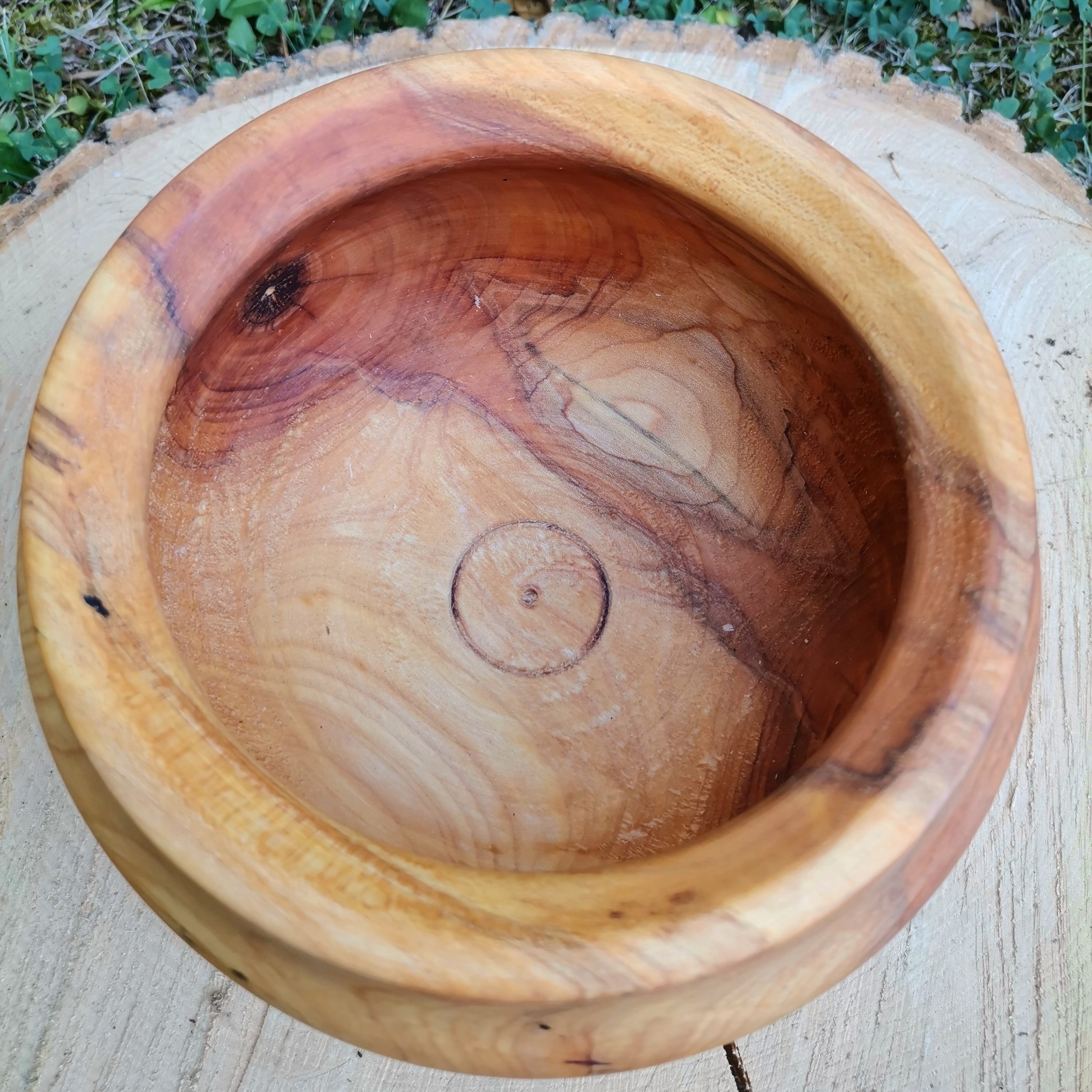 IMG_20230818_163655_955