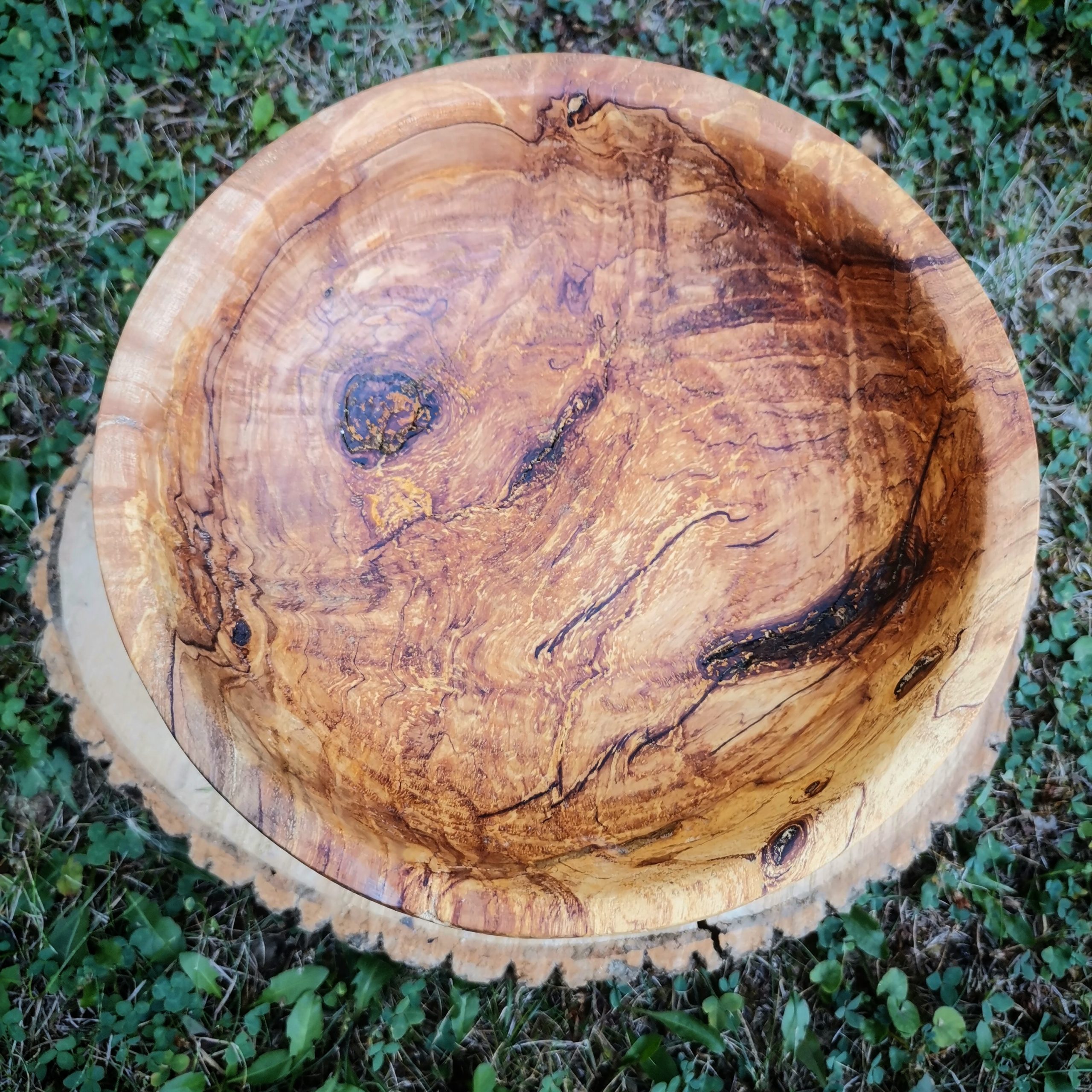 IMG_20230818_164202_467