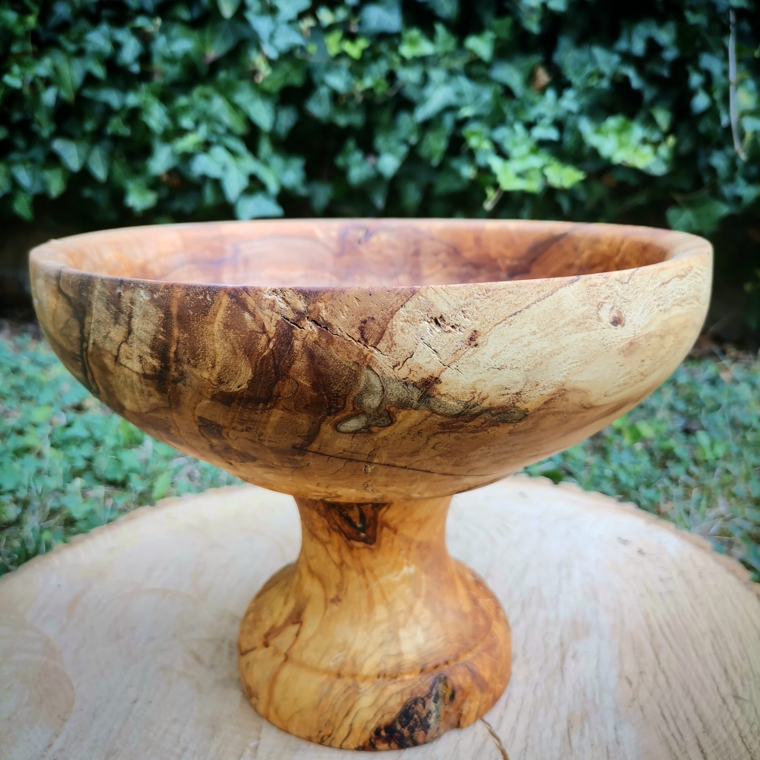 IMG_20230818_164253_626