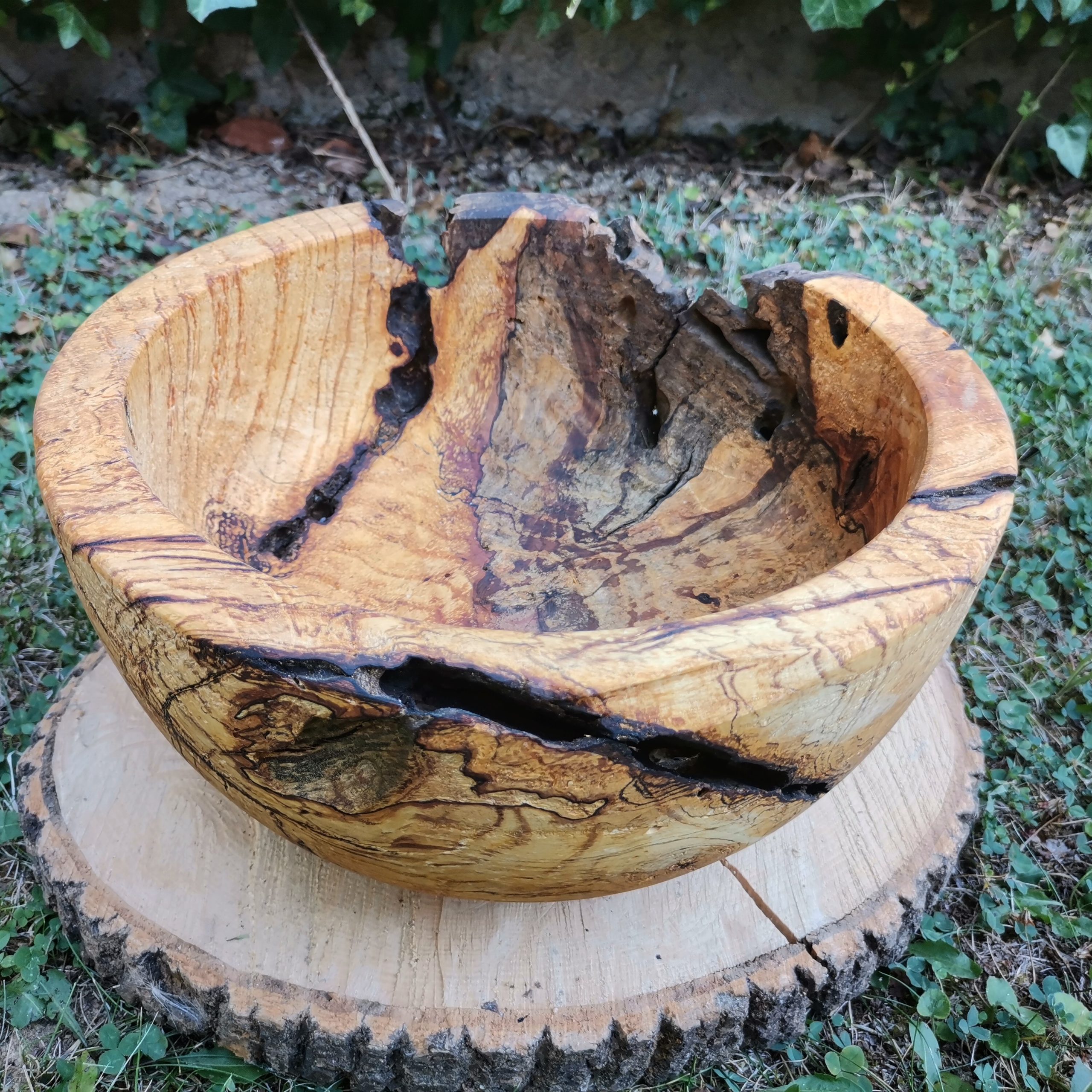 IMG_20230818_164711_484