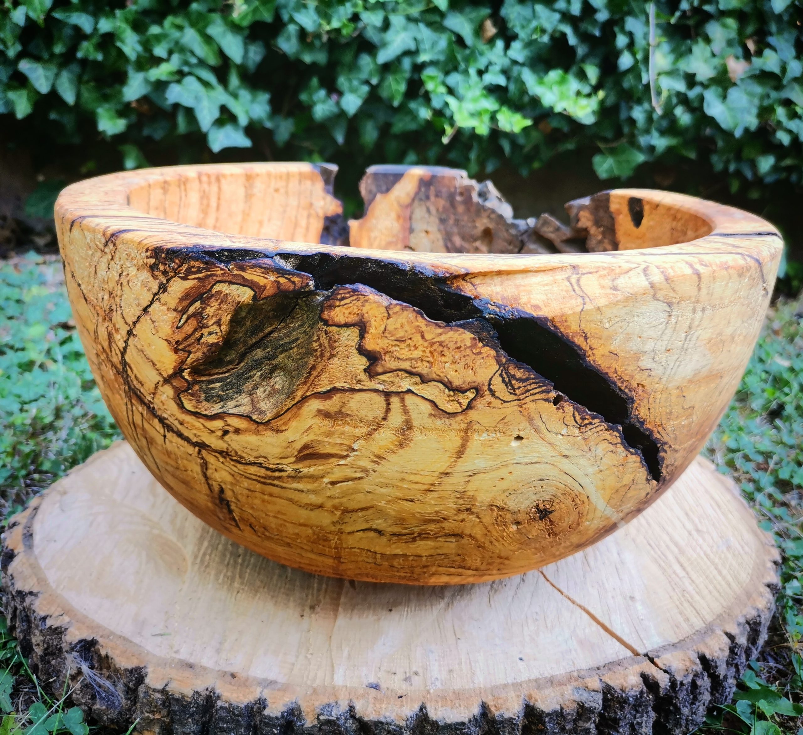 IMG_20230818_164808_469