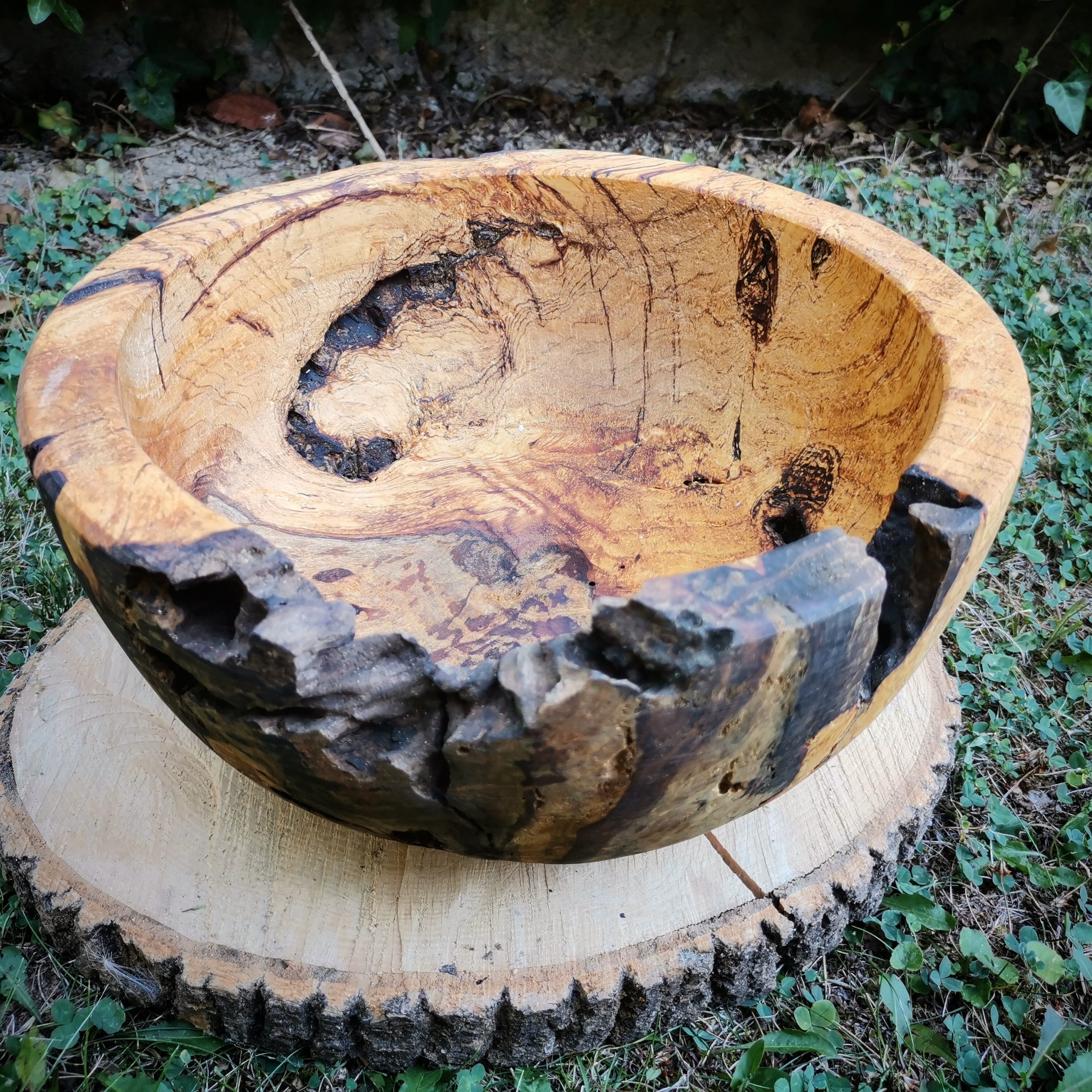 IMG_20230818_164913_770