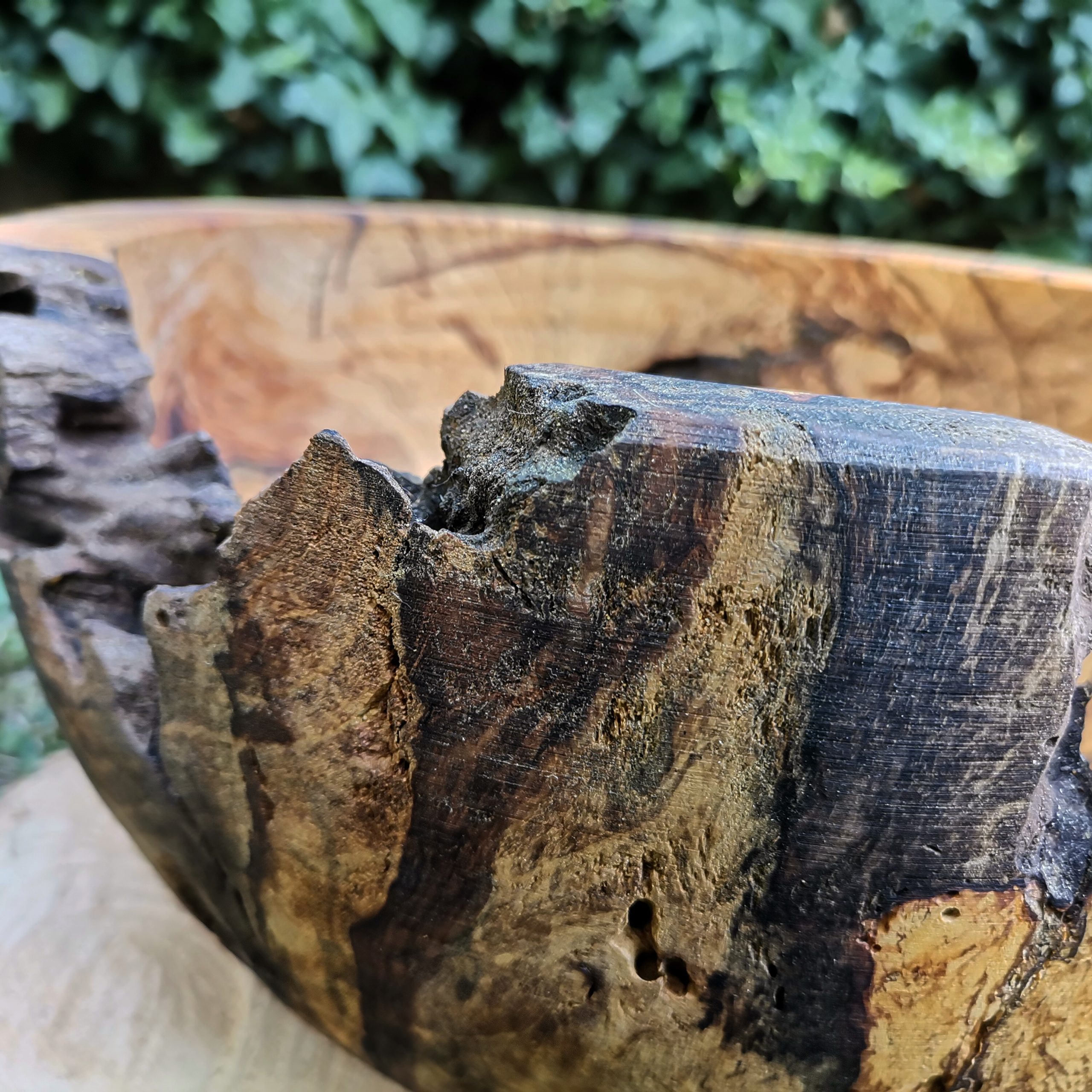 IMG_20230818_165004_479