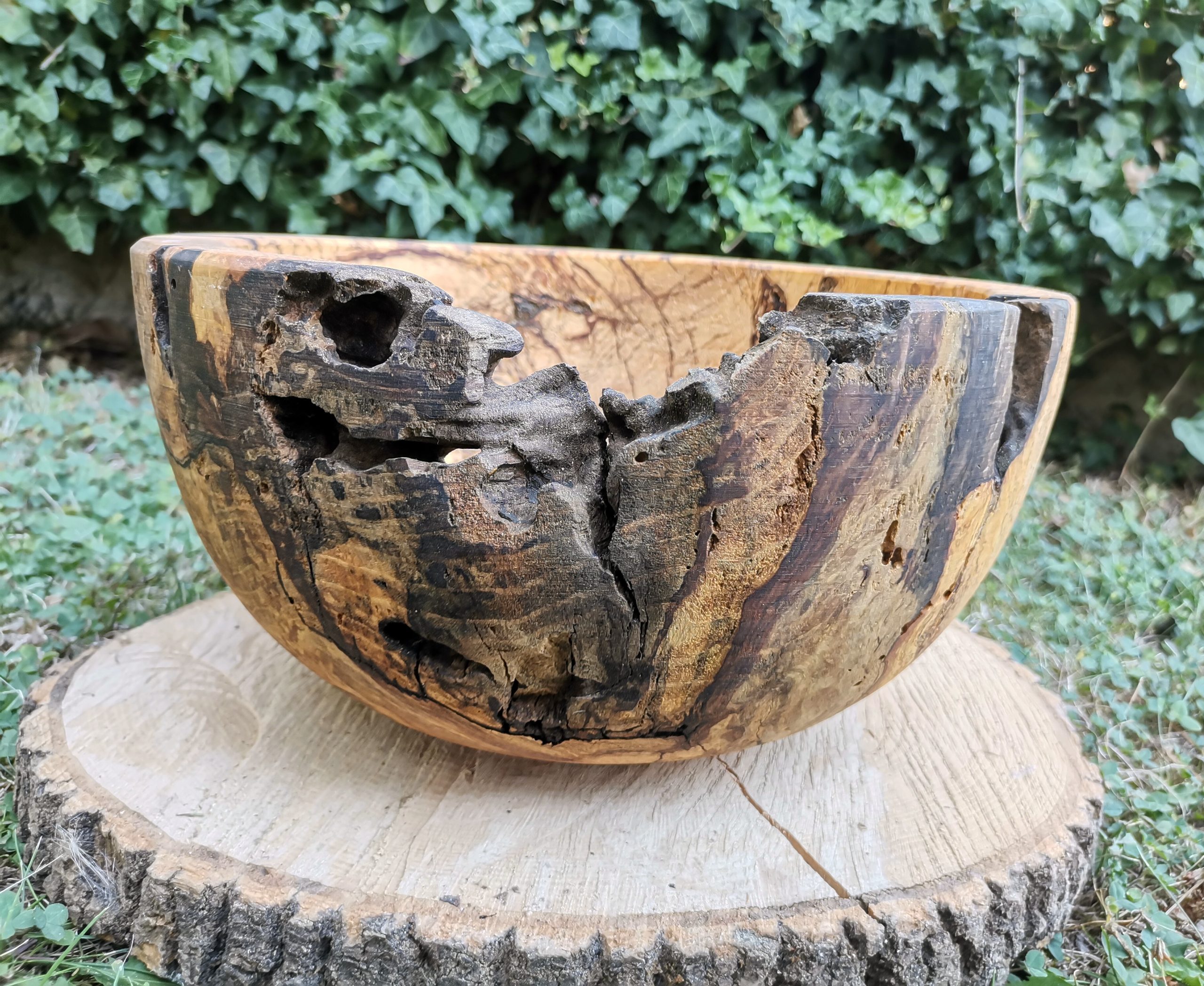 IMG_20230818_165055_052