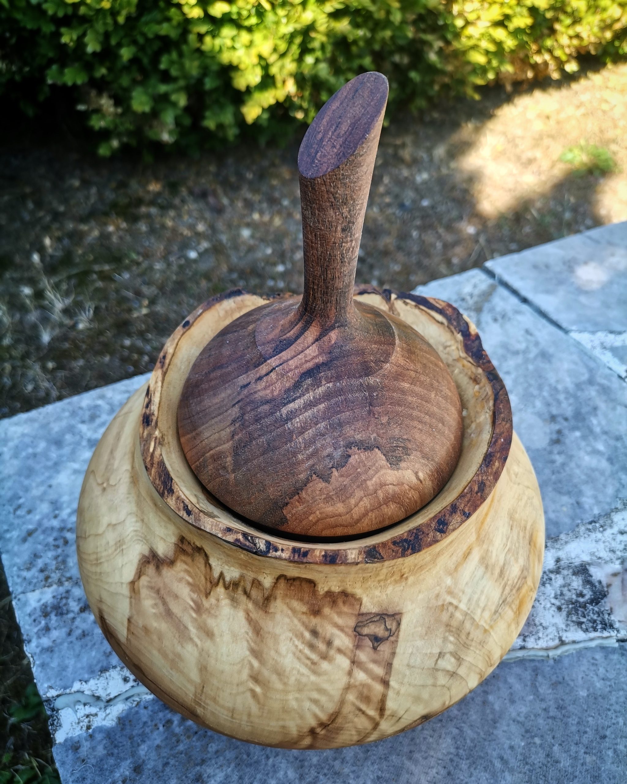 IMG_20230818_165147_870