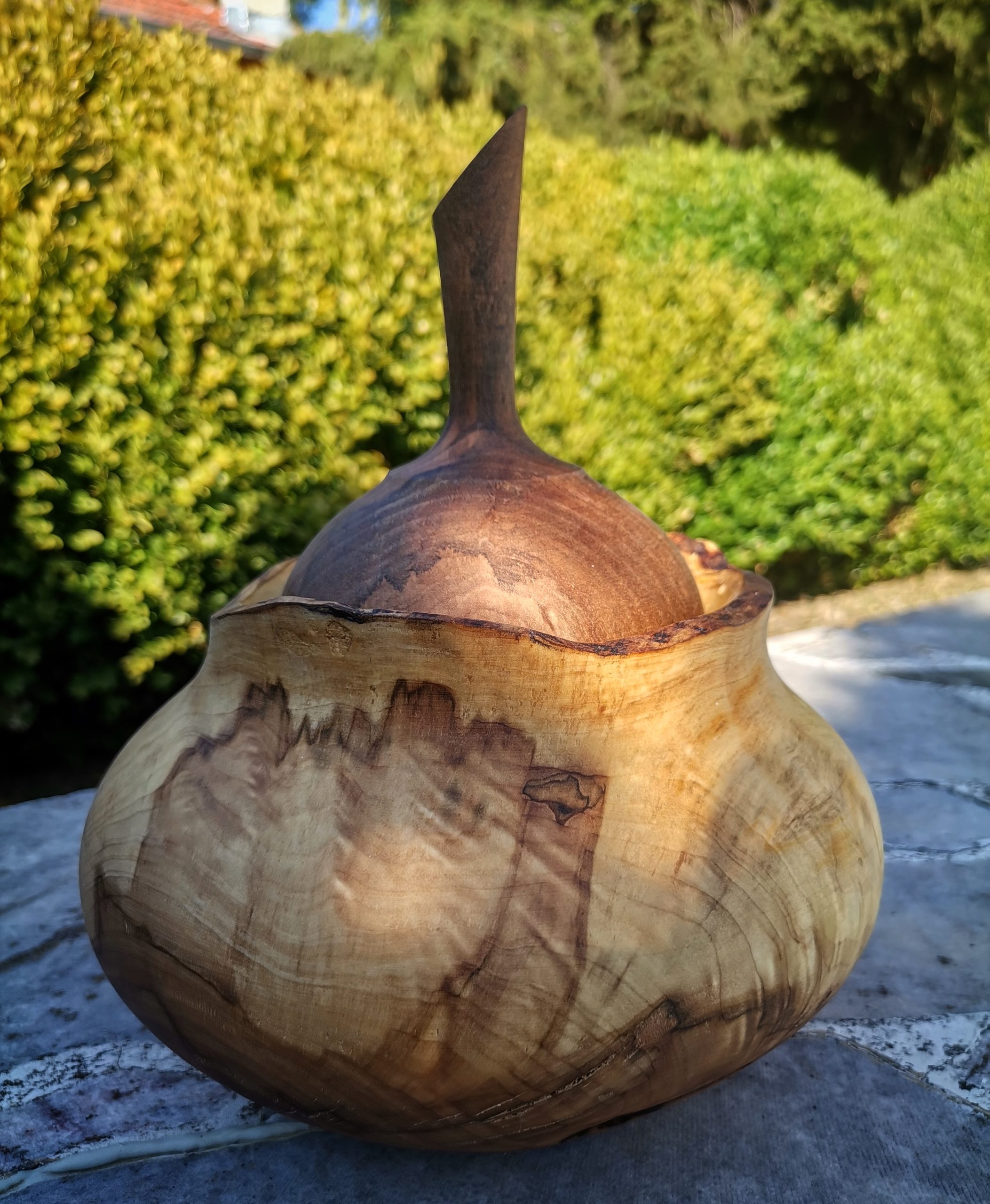 IMG_20230818_165243_196