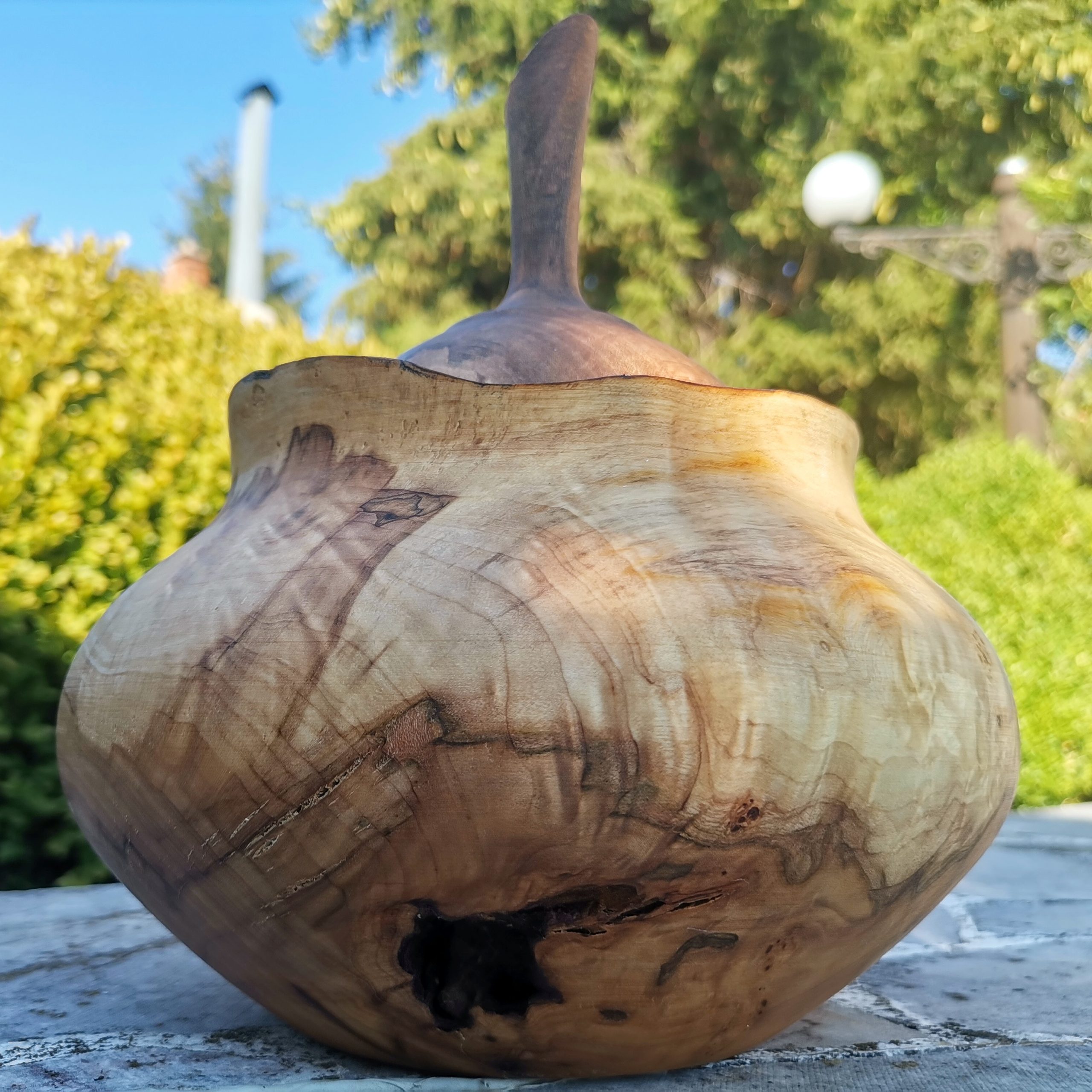 IMG_20230818_165544_917