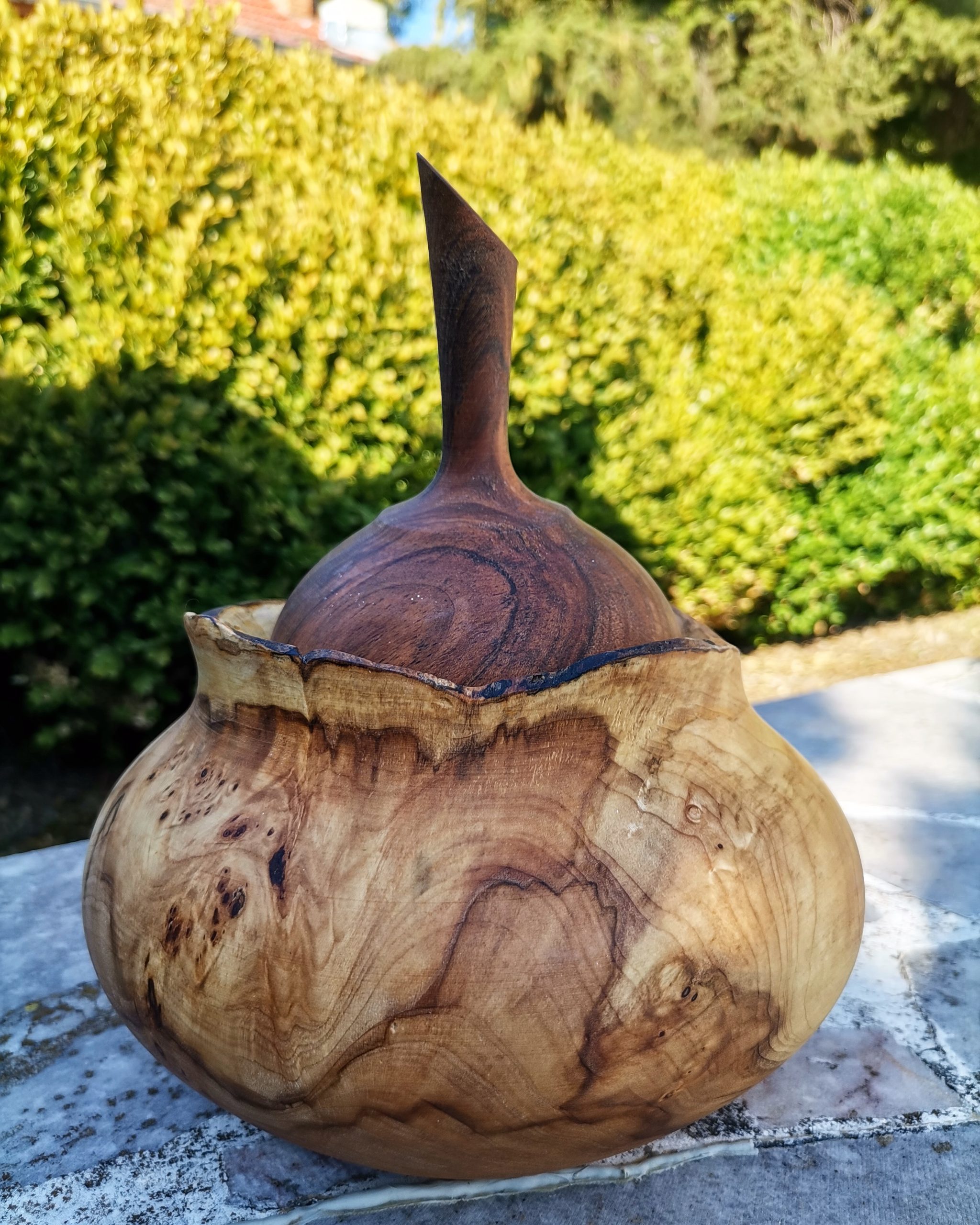 IMG_20230818_165646_496