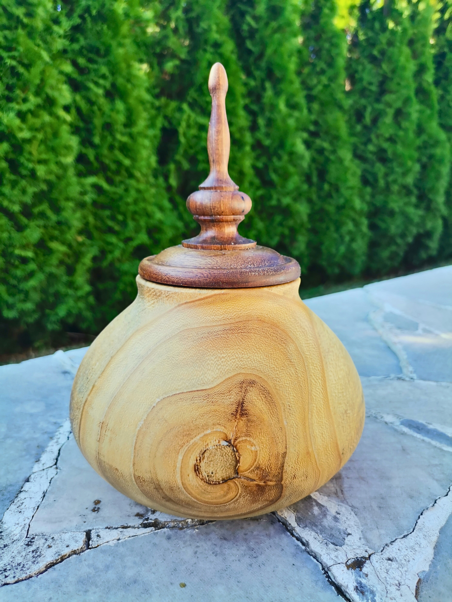 Неозаглавен дизайн (9)