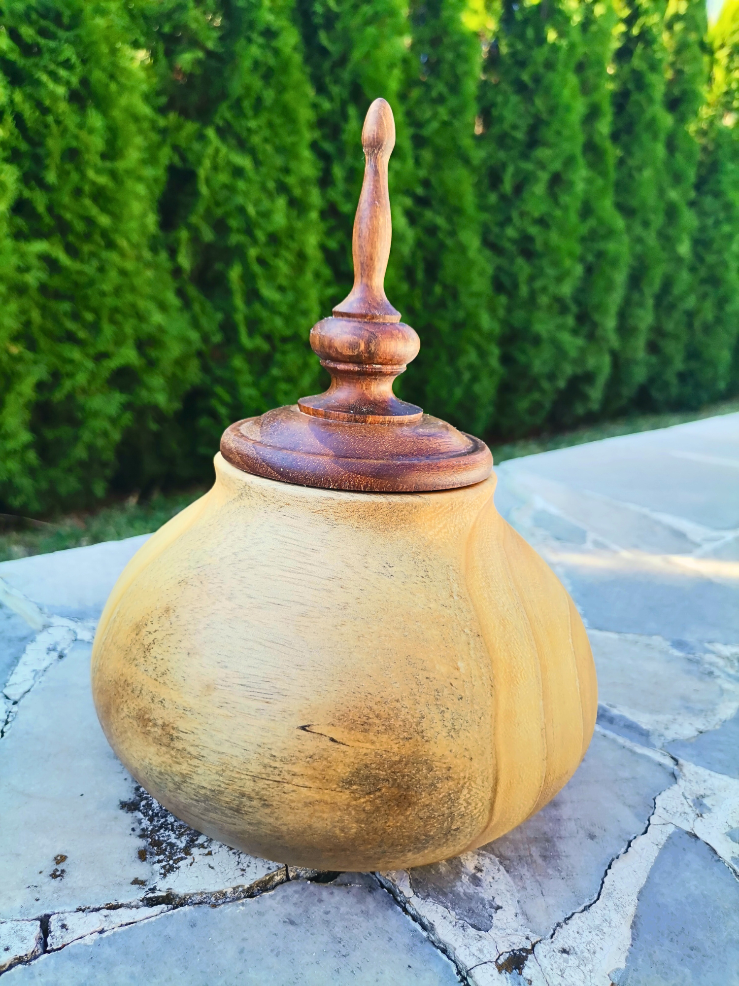 Неозаглавен дизайн (93)